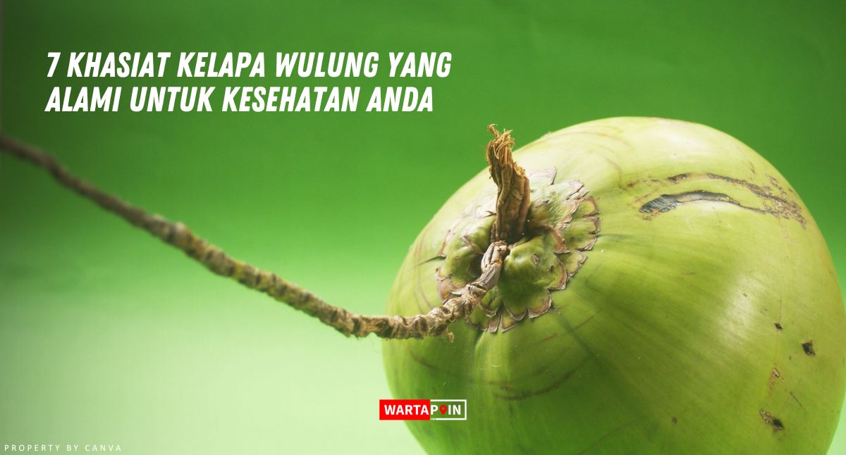 7 Khasiat Kelapa Wulung yang Alami untuk Kesehatan Anda