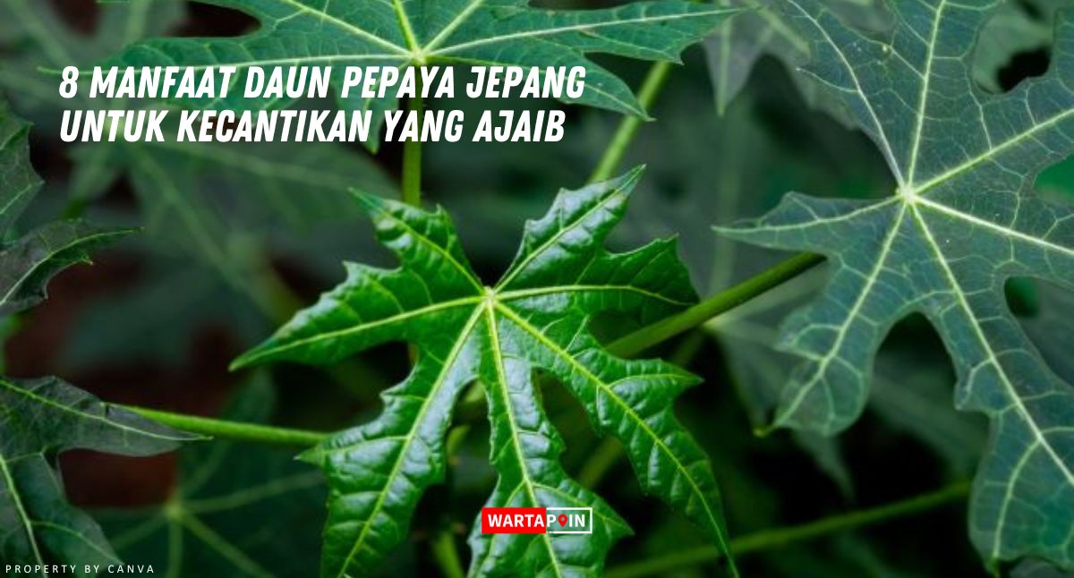 8 Manfaat Daun Pepaya Jepang untuk Kecantikan yang Ajaib