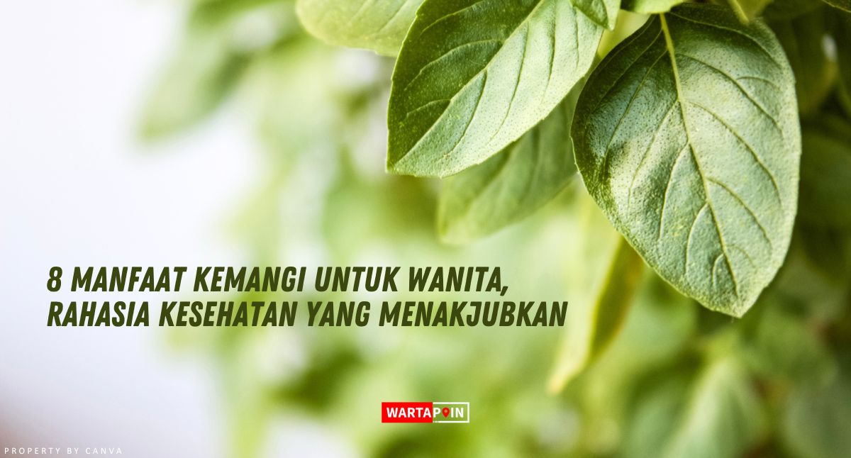 8 Manfaat Kemangi untuk Wanita, Rahasia Kesehatan yang Menakjubkan