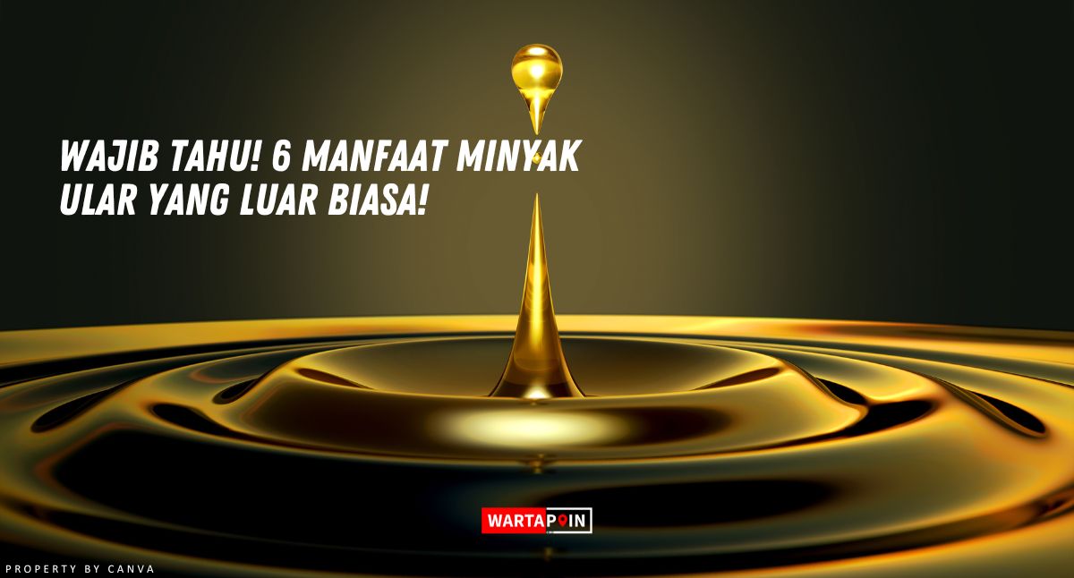 Wajib Tahu! 6 Manfaat Minyak Ular yang Luar Biasa!