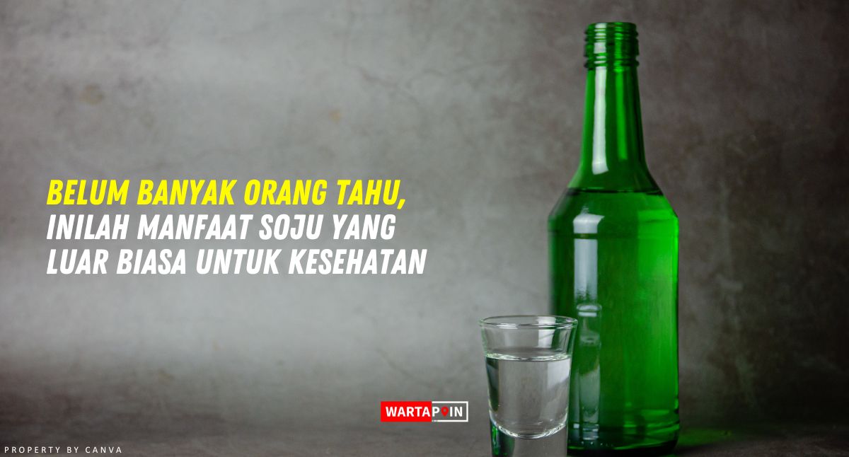 Belum Banyak Orang Tahu, Inilah Manfaat Soju yang Luar Biasa Untuk Kesehatan