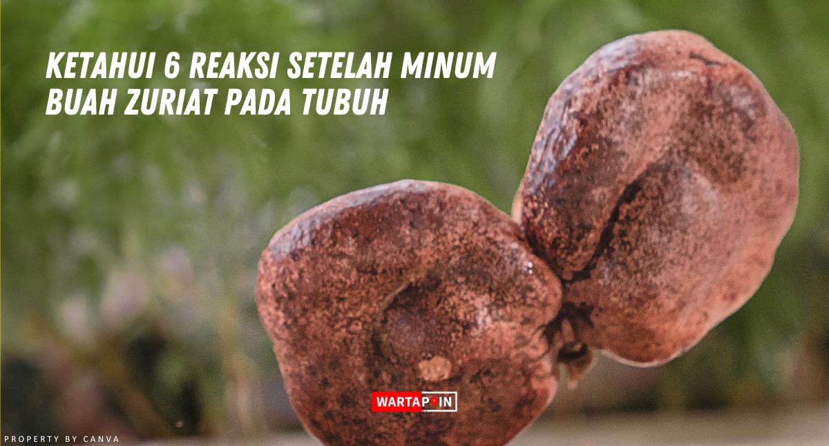 Ketahui 6 Reaksi Setelah Minum Buah Zuriat pada Tubuh