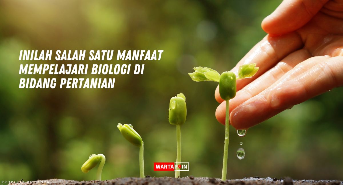 Inilah Salah Satu Manfaat Mempelajari Biologi di Bidang Pertanian