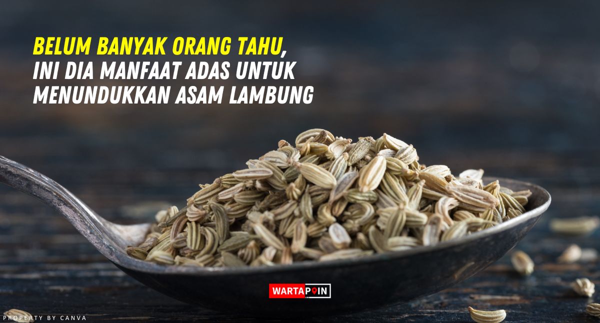 Belum Banyak Orang Tahu, Ini Dia Manfaat Adas untuk Menundukkan Asam Lambung