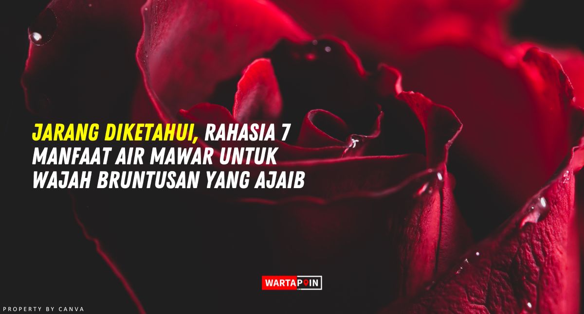 Jarang Diketahui, Rahasia 7 Manfaat Air Mawar untuk Wajah Bruntusan yang Ajaib