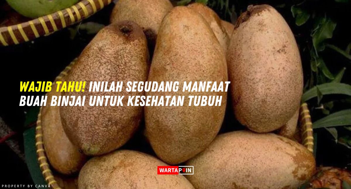 Wajib Tahu! Inilah Segudang Manfaat Buah Binjai untuk Kesehatan Tubuh