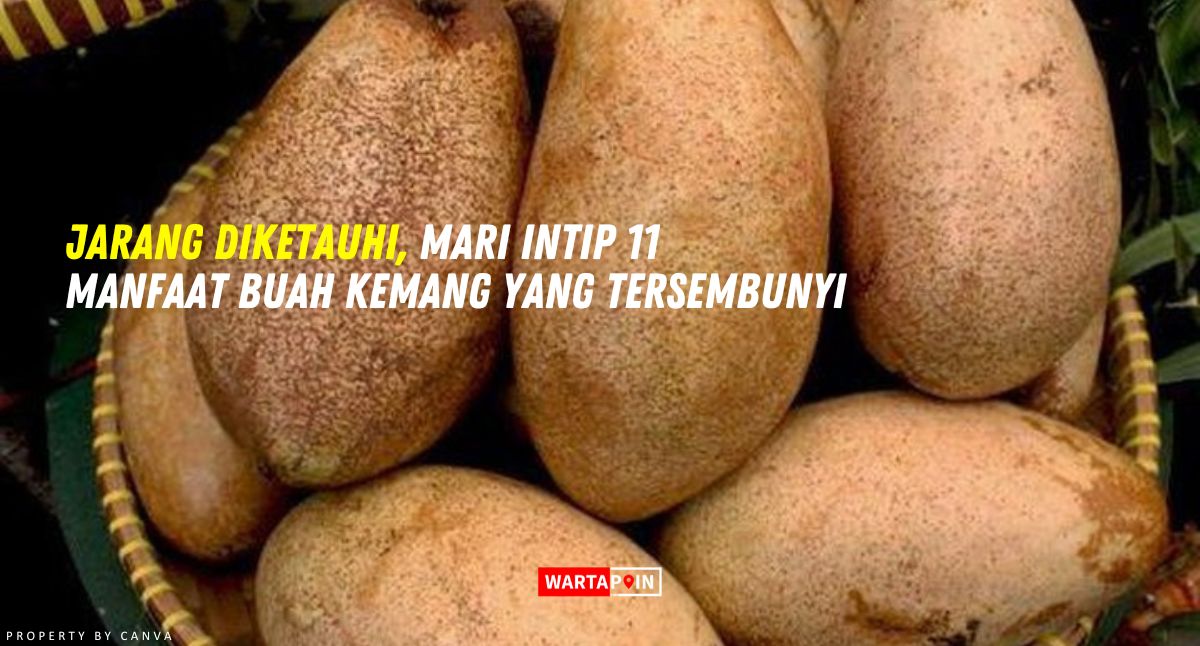 Jarang Diketauhi, Mari Intip 11 Manfaat Buah Kemang yang Tersembunyi