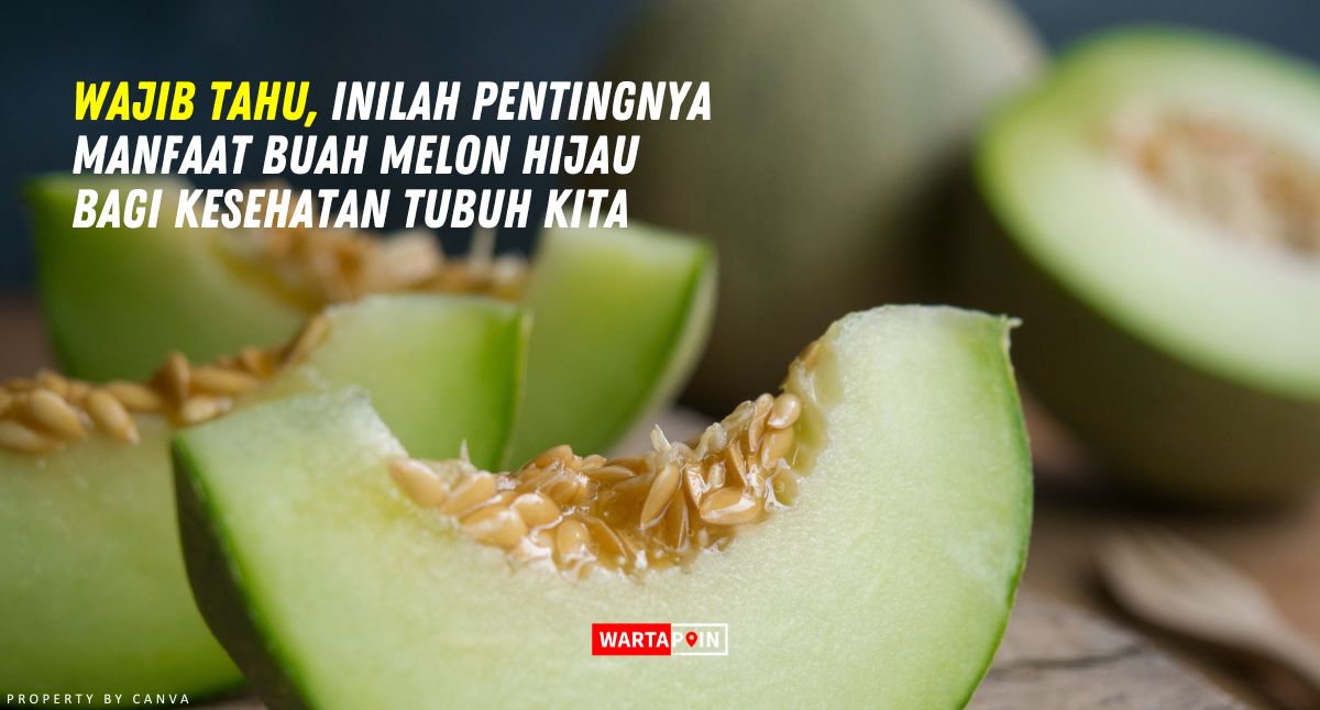 Wajib Tahu, Inilah Pentingnya Manfaat Buah Melon Hijau bagi Kesehatan