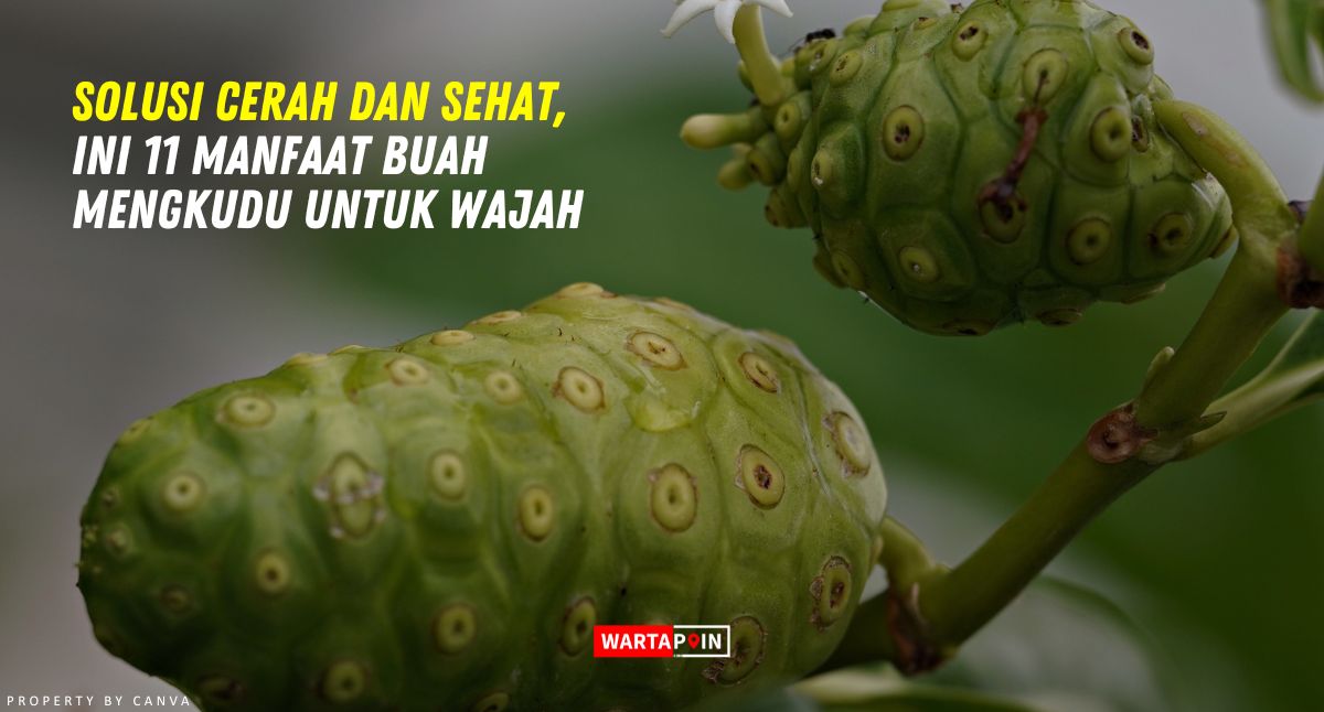 Solusi Cerah dan Sehat, Ini 11 Manfaat Buah Mengkudu Untuk Wajah