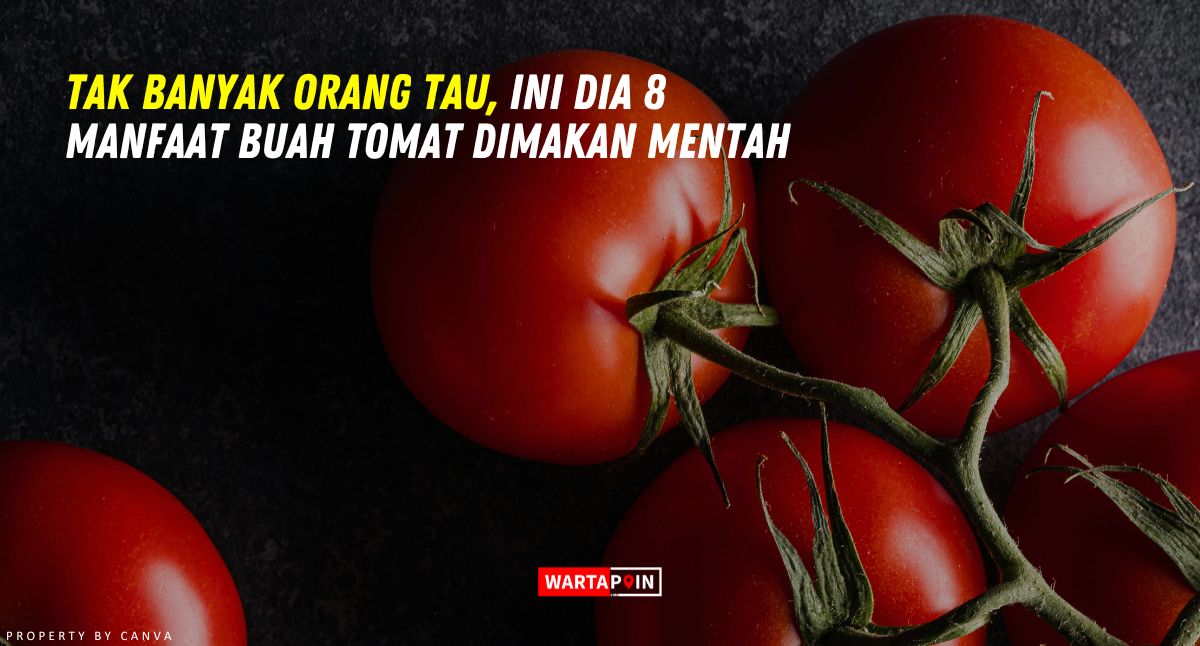 Tak Banyak Orang Tau, Ini Dia 8 Manfaat Buah Tomat Dimakan Mentah