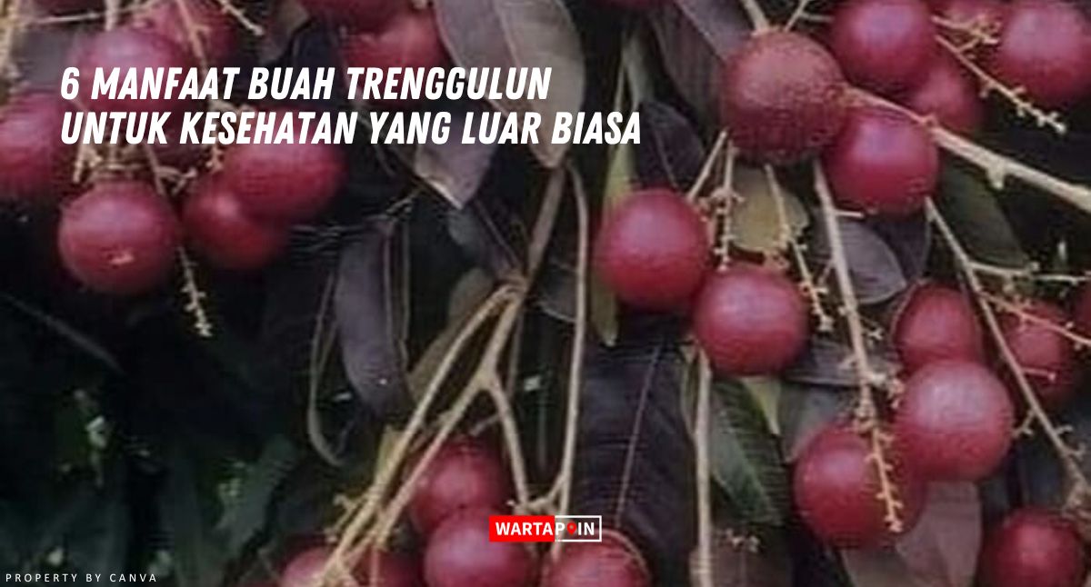 6 Manfaat Buah Trenggulun untuk Kesehatan yang Luar Biasa