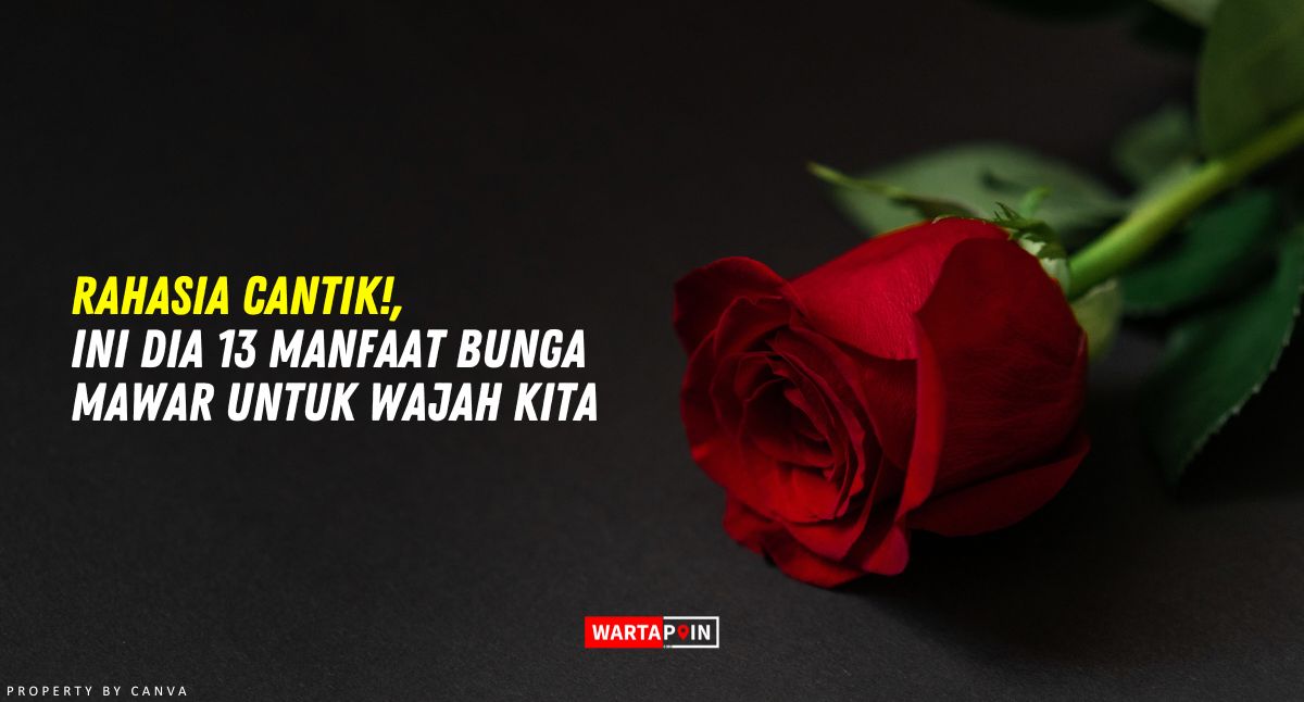 Rahasia Cantik!, Ini Dia 13 Manfaat Bunga Mawar untuk Wajah Kita