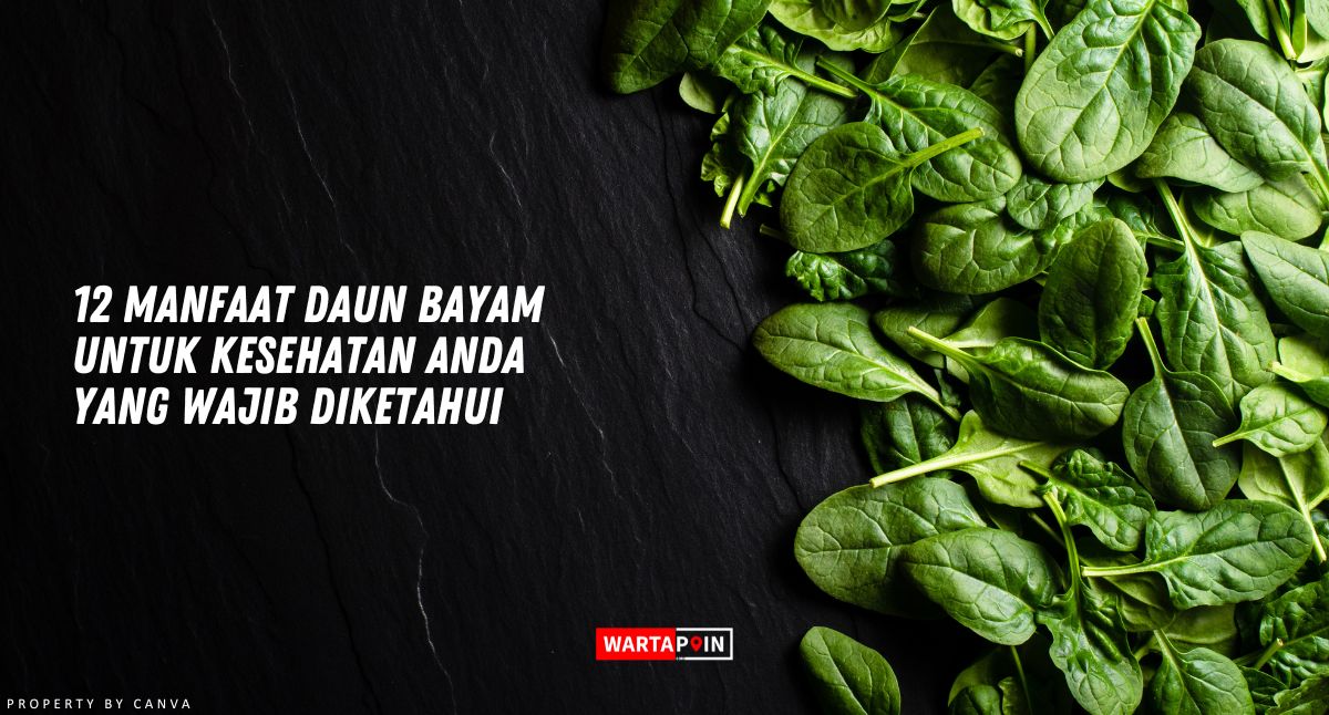 12 Manfaat Daun Bayam Untuk Kesehatan Anda yang Wajib Diketahui