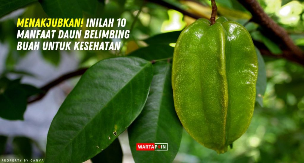 Menakjubkan Inilah 10 Manfaat Daun Belimbing Buah Untuk Kesehatan