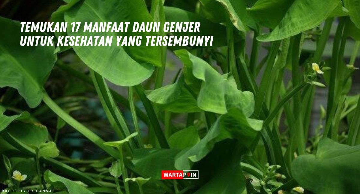 Temukan 17 Manfaat Daun Genjer untuk Kesehatan yang Tersembunyi