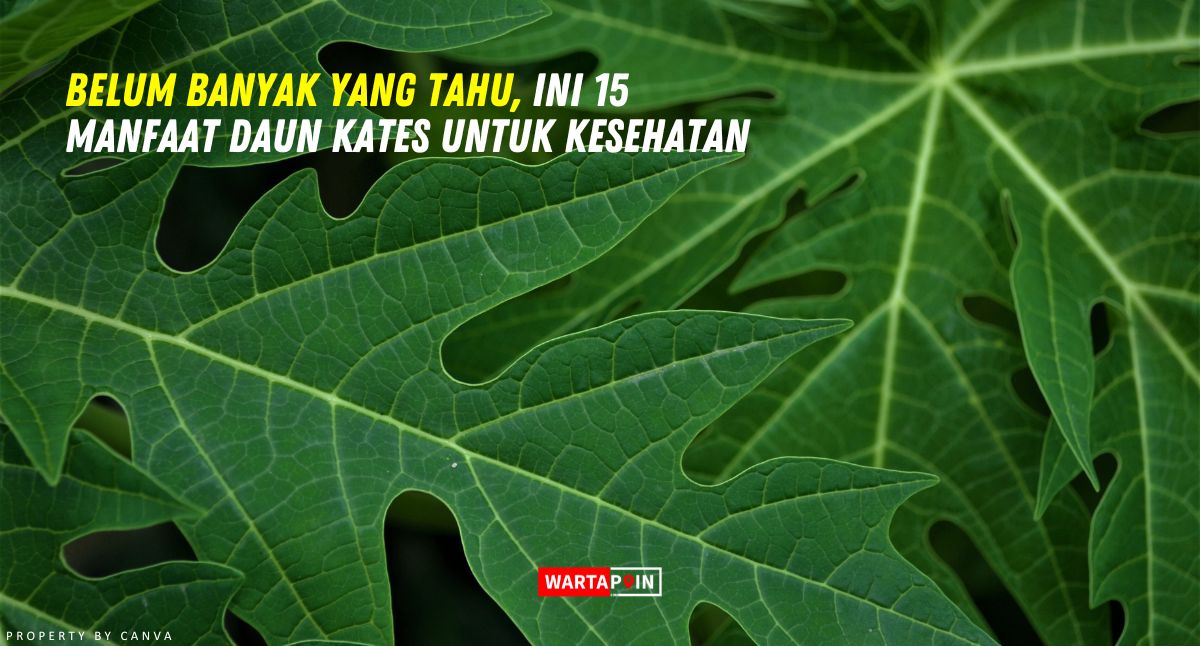 Belum Banyak yang Tahu, Ini 15 Manfaat Daun Kates untuk Kesehatan