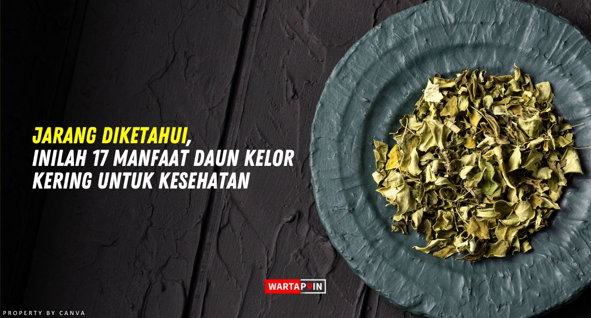 Jarang Diketahui, Inilah 17 Manfaat Daun Kelor Kering Untuk Kesehatan