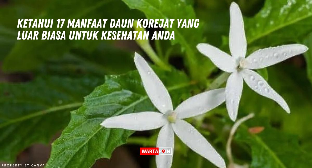 Ketahui 17 Manfaat Daun Korejat yang Luar Biasa untuk Kesehatan Anda