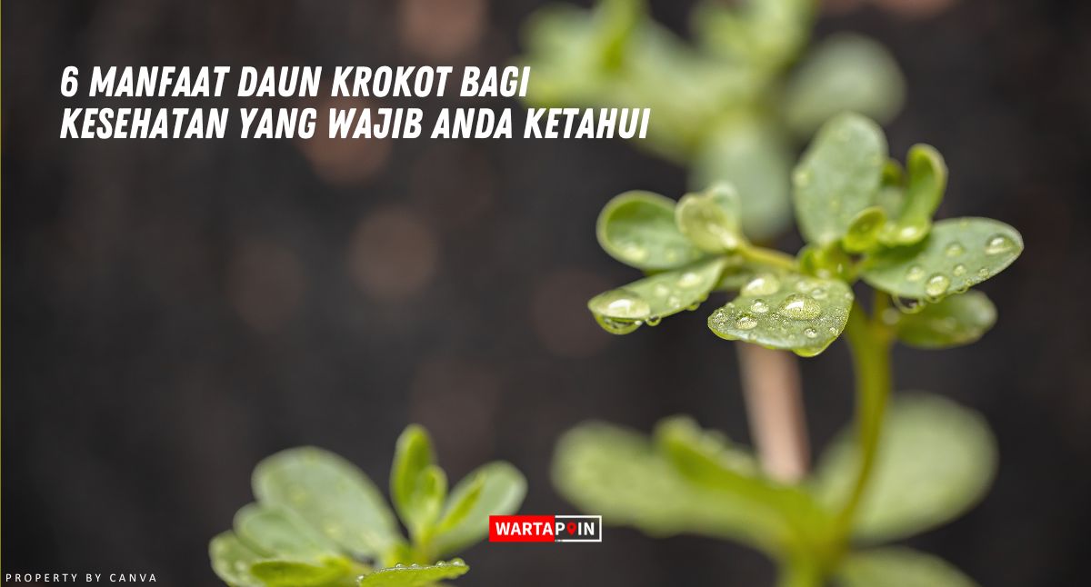 6 Manfaat Daun Krokot Bagi Kesehatan yang Wajib Anda Ketahui