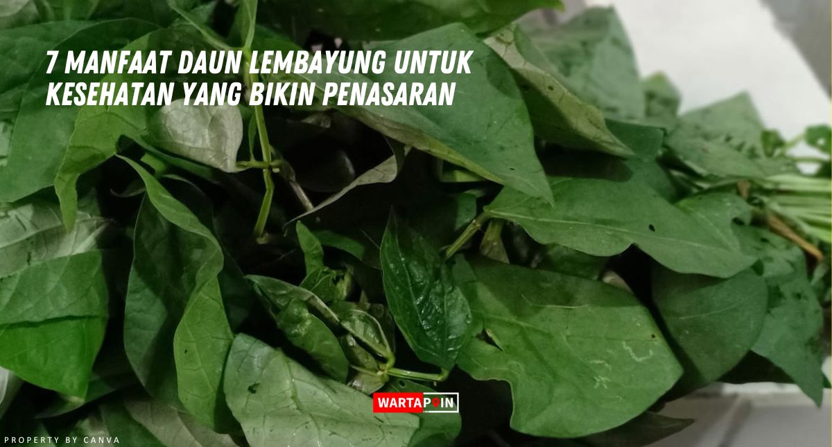 7 Manfaat Daun Lembayung untuk Kesehatan yang Bikin Penasaran