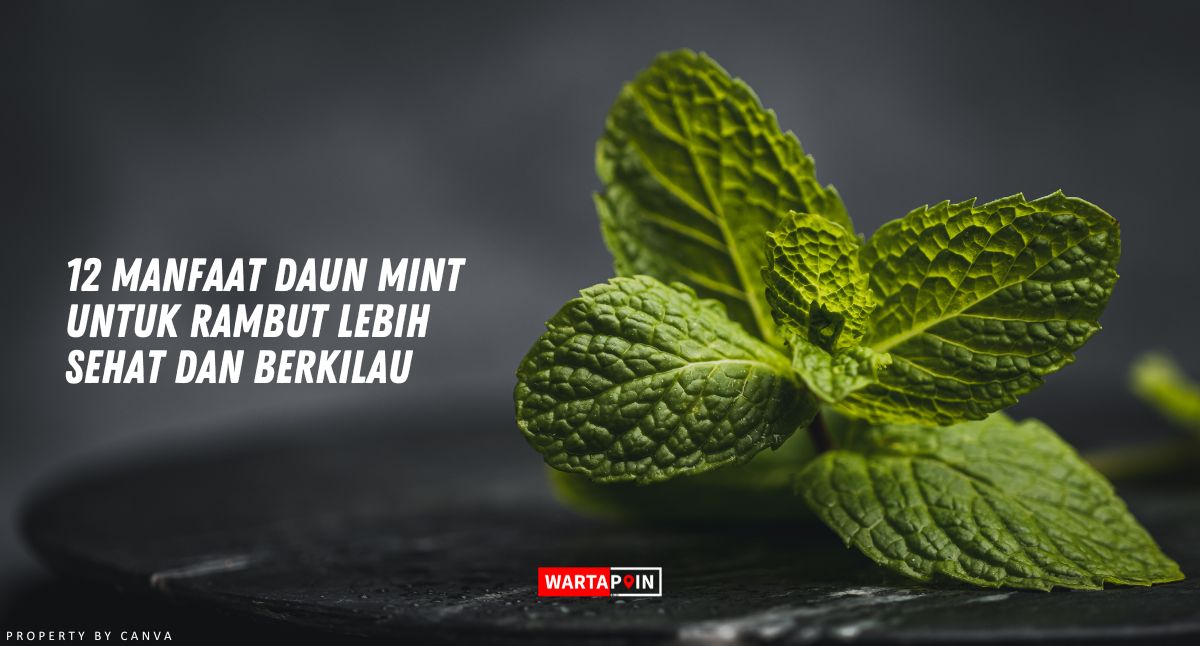 12 Manfaat Daun Mint untuk Rambut Lebih Sehat dan Berkilau