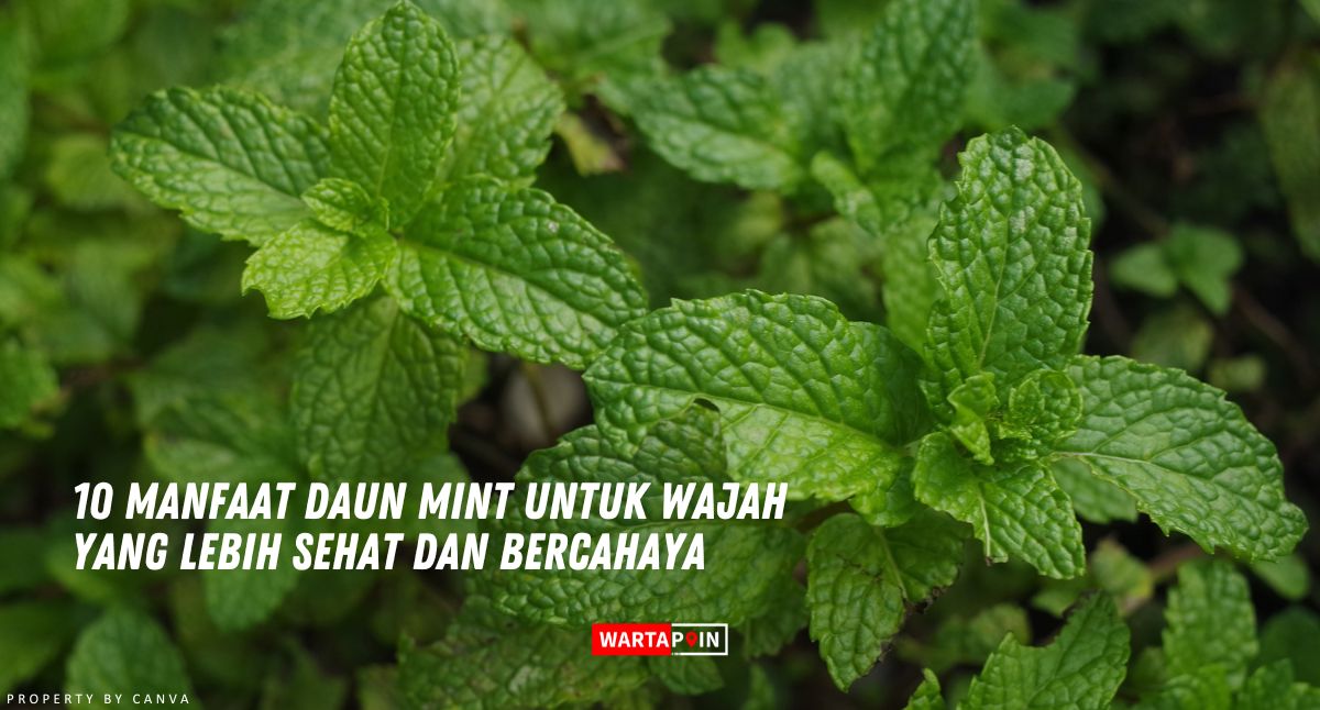 10 Manfaat Daun Mint untuk Wajah yang Lebih Sehat dan Bercahaya