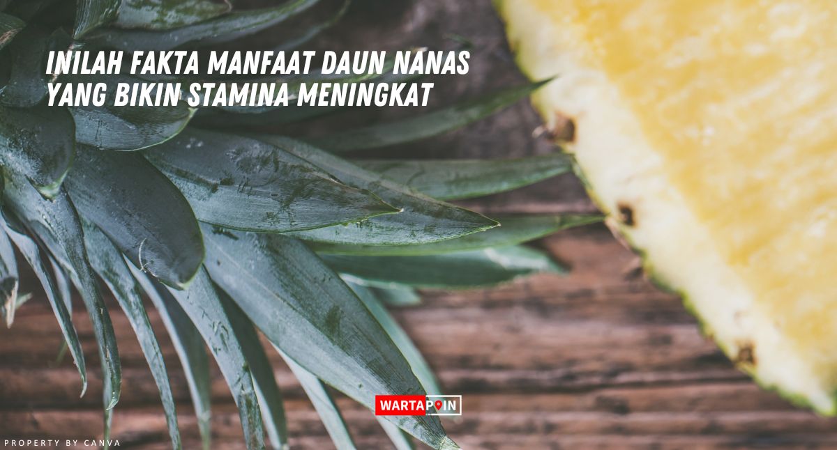 Inilah Fakta Manfaat Daun Nanas yang Bikin Stamina Meningkat