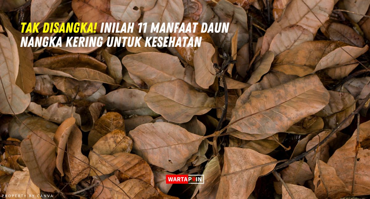 Tak Disangka! Inilah 11 Manfaat Daun Nangka Kering untuk Kesehatan