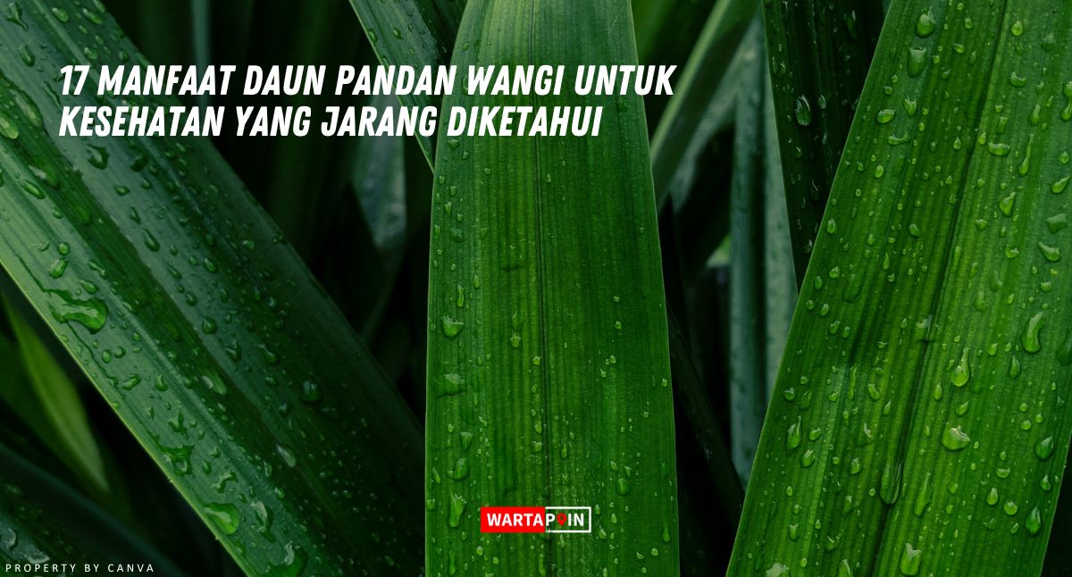 17 Manfaat Daun Pandan Wangi Untuk Kesehatan yang Jarang Diketahui