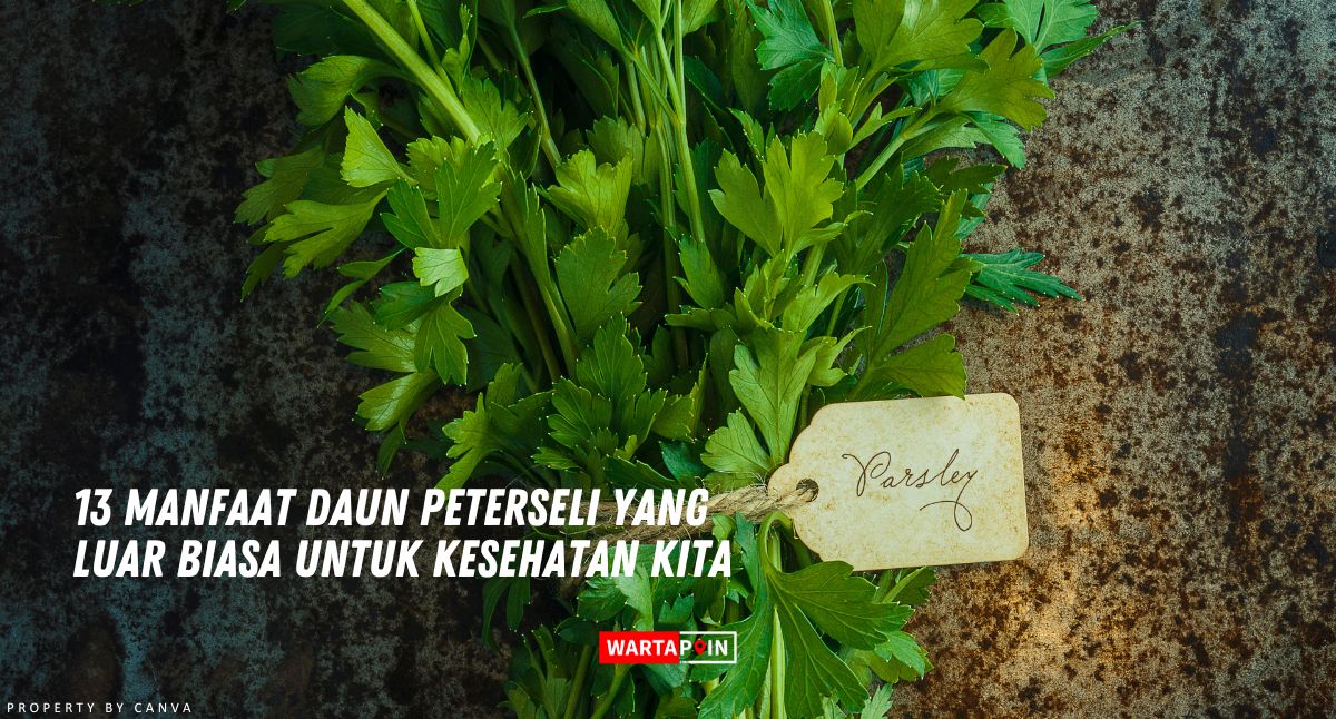 13 Manfaat Daun Peterseli yang Luar Biasa untuk Kesehatan Kita