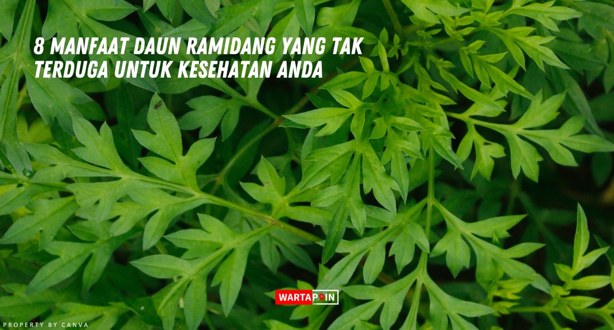 8 Manfaat Daun Ramidang yang Tak Terduga untuk Kesehatan Anda