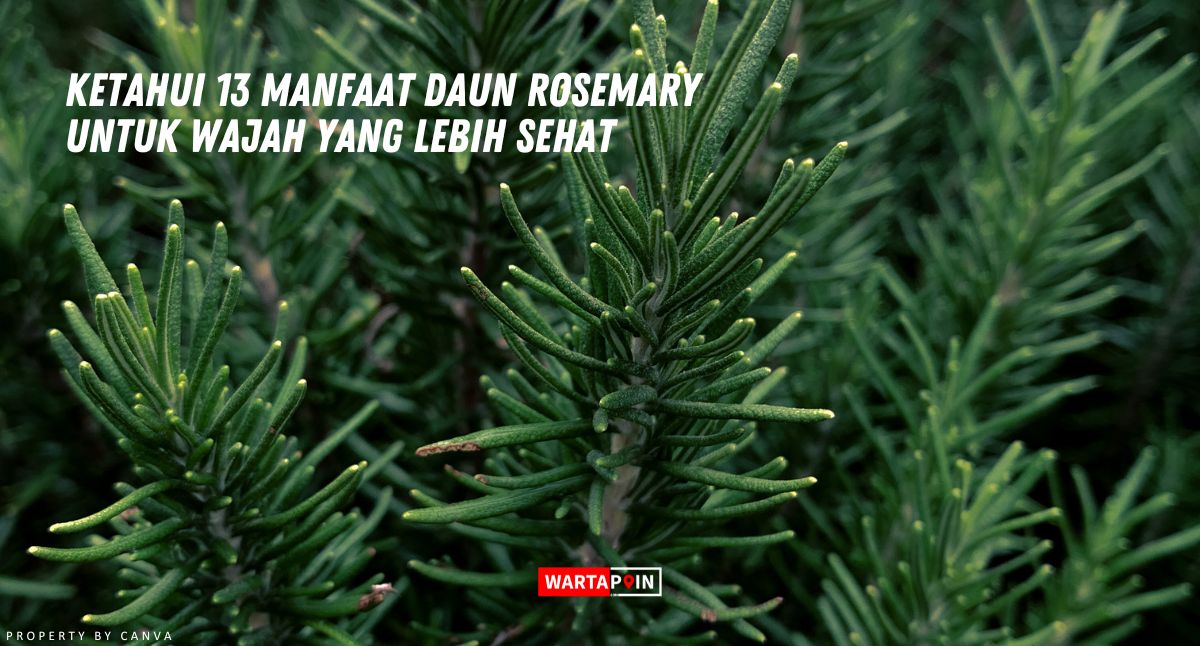 Ketahui 13 Manfaat Daun Rosemary untuk Wajah yang Lebih Sehat