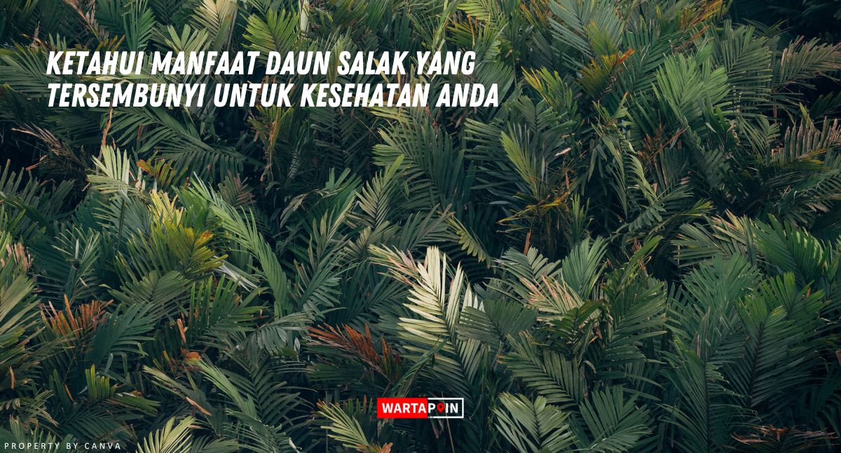 Ketahui Manfaat Daun Salak yang Tersembunyi untuk Kesehatan Anda