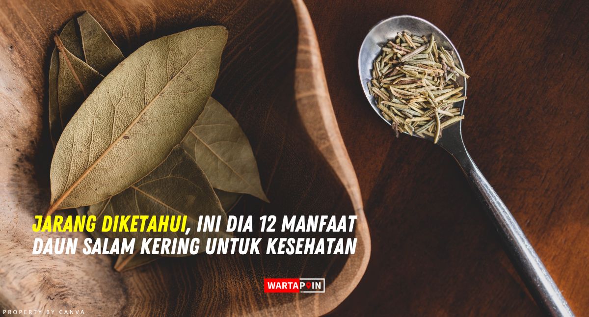 Jarang Diketahui, Ini Dia 12 Manfaat Daun Salam Kering Untuk Kesehatan