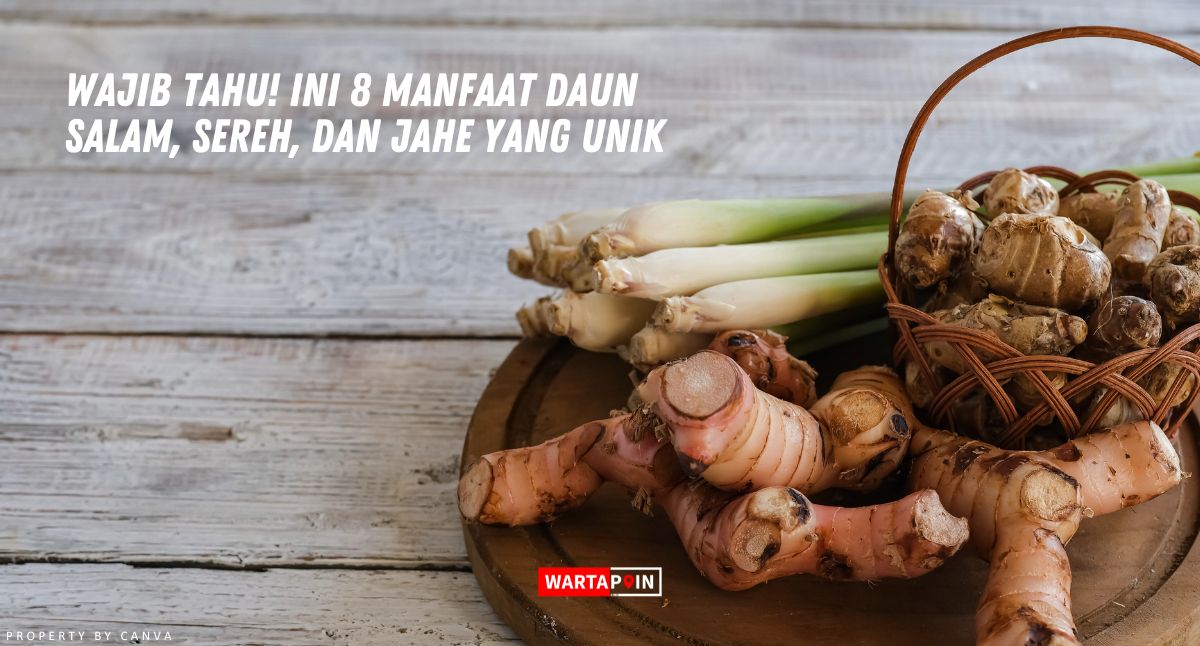 Wajib Tahu! Ini 8 Manfaat Daun Salam, Sereh, dan Jahe yang Unik