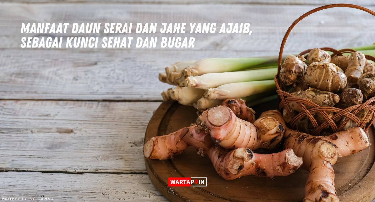 Manfaat Daun Serai dan Jahe yang Ajaib, Sebagai Kunci Sehat dan Bugar