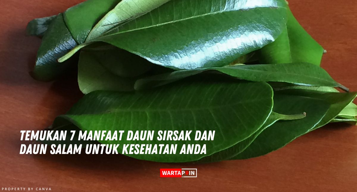 Temukan 7 Manfaat Daun Sirsak dan Daun Salam untuk Kesehatan Anda