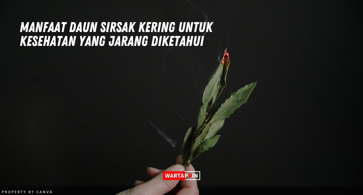 Manfaat Daun Sirsak Kering Untuk Kesehatan yang Jarang Diketahui