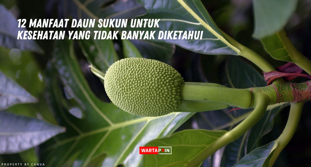 12 Manfaat Daun Sukun untuk Kesehatan yang Tidak Banyak Diketahui