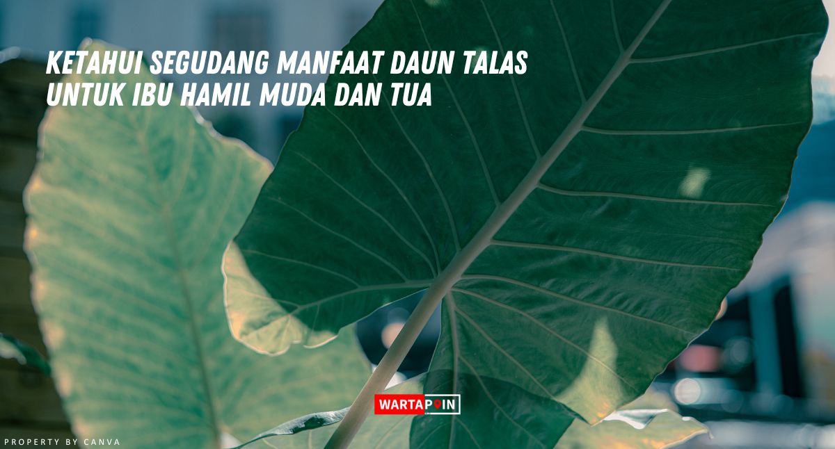 Ketahui Segudang Manfaat Daun Talas Untuk Ibu Hamil Muda dan Tua